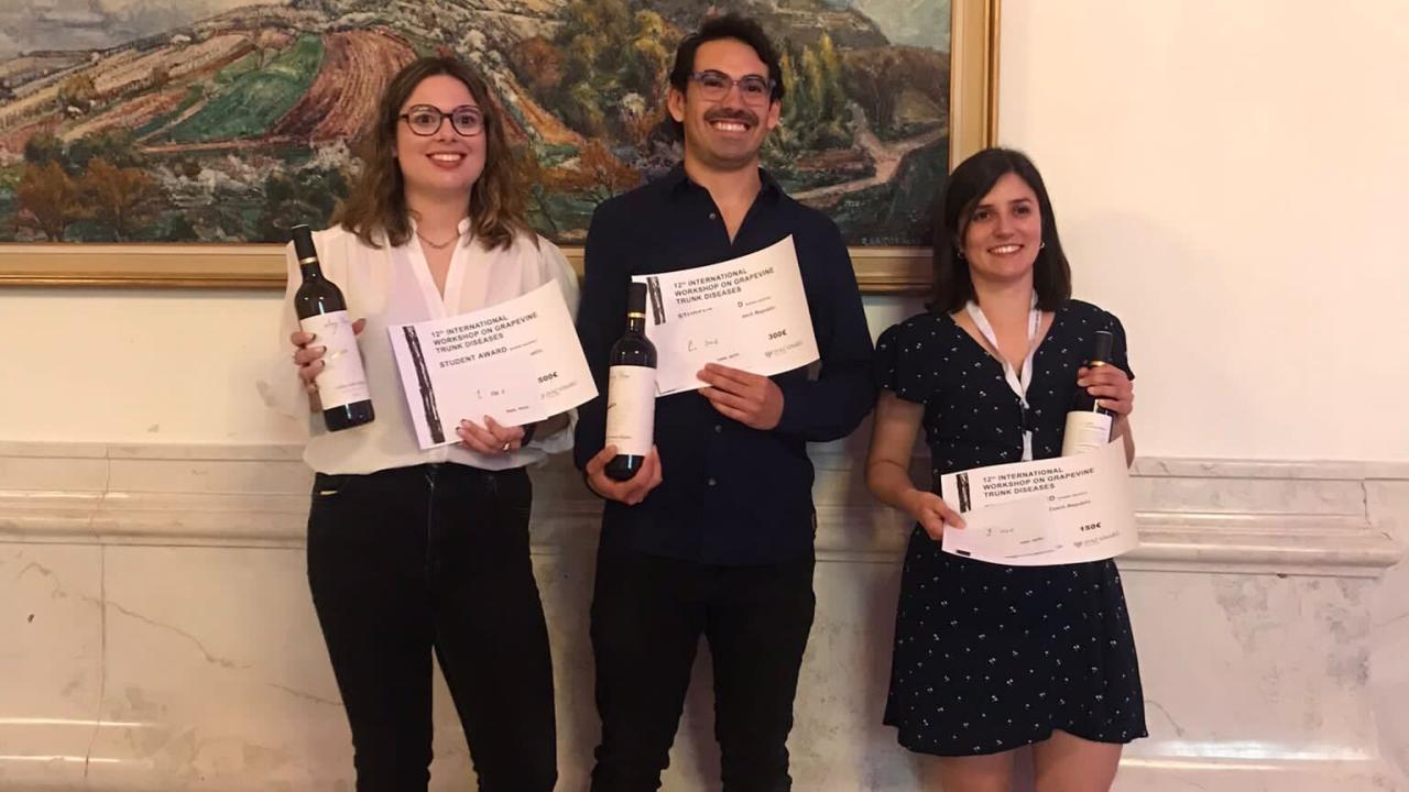 Photo: The three winners of the contest stand in a line on large checkboard board tiles indoors. Each of them holds a bottle of wine and a paper award. The wall behind them has a marble facade reminiscent of an unfurled classical column's base up to railing height. A framed landscape hangs on the plaster above.