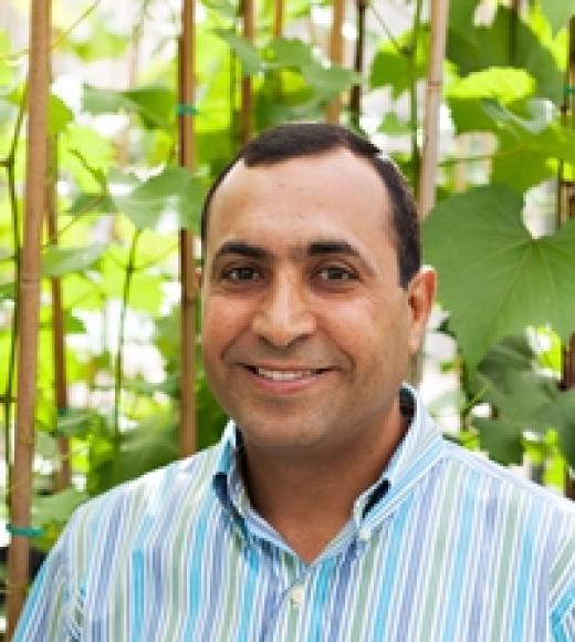 Dr. Maher Al Rwahnih